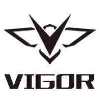 VIGOR